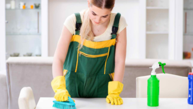 Charlotte Residents Are Making the Switch to Recurring House Cleaning and Pest Control Services