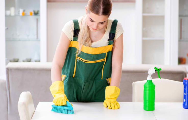 Charlotte Residents Are Making the Switch to Recurring House Cleaning and Pest Control Services