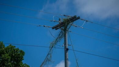 digital infrastructure growth strategy