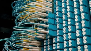 digital network support services