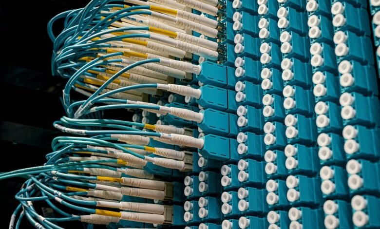 digital network support services