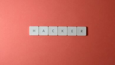 network security professional services